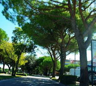 Am Anfang von Bibione