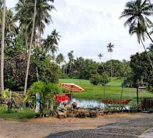 Einfahrt von Straße