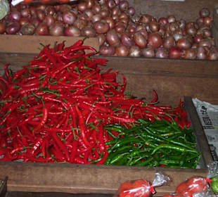 "Rot-grüne Koalition"