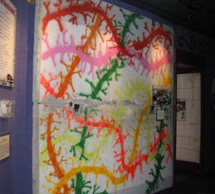 Ripley's Believe It or Not! Museum