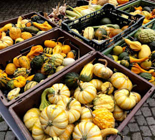 Bauernmarkt im Kreismuseum