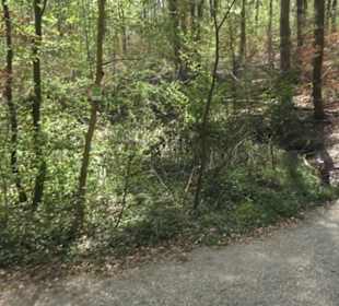Wanderweg Hochgehwachsen