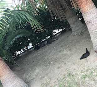 Stadtrundgang Manavgat - Kizilagac