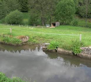 Mönchhof-Sägemühle Vespersweiler