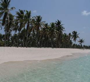 Einsamer Strand (Privatstrand) auf Saona