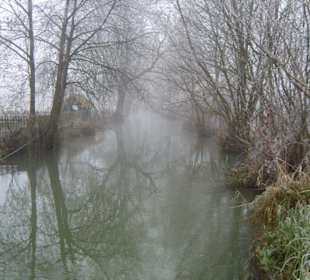 Der Mühlbach im Nebel
