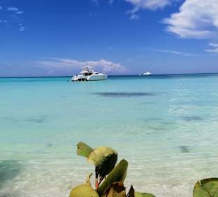 Isla Saona