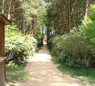 Weg