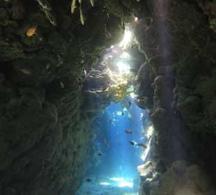 Höhle beim Tauchen 