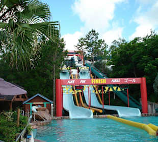 Wettfahrt mit Reifen