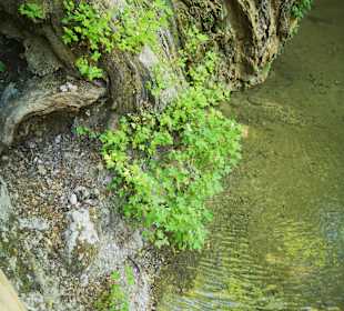 Peta Loudhes / Tal der Schmetterlinge