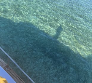 Tauchen & Schnorcheln Hausriff Soma Bay