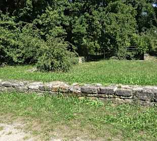 Ruine Engelburg