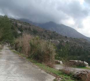 Boka Kotorska