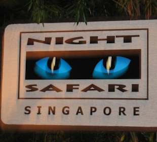 Night Safari Singapore