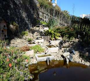 Eine Oase in der Stadt