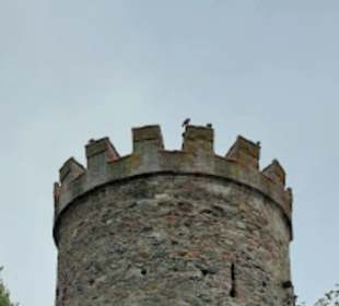 Nördlicher Wehrturm Schussenstraße