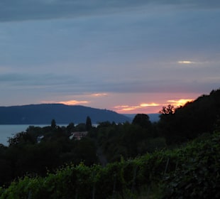 Stadtrundgang Uhldingen-Mühlhofen