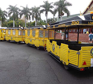 Bimmelbahn vom Loro Park