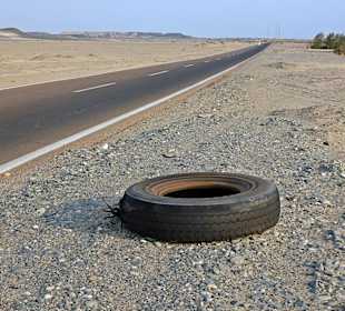 Kamelmarkt Al Shalateen