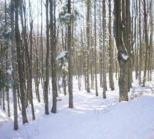 La sorgente del Tevere