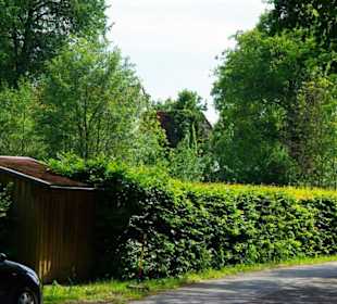 Wanderung zum Bärenfels