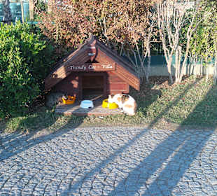 An der Strandpromenade