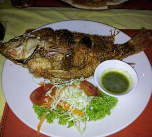 Grilled red fish