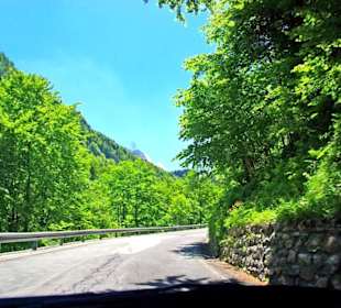Plöckenpass 2010 die ganze Strecke