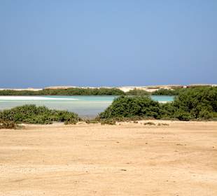 Schnorcheln Marsa Alam