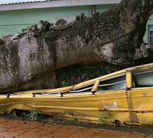 Hurrican 1979, Bus stürzt auf einen Schulbus