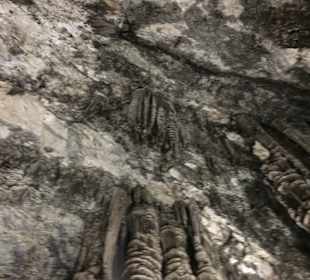 Höhlen von Arta/Cuevas de Artá