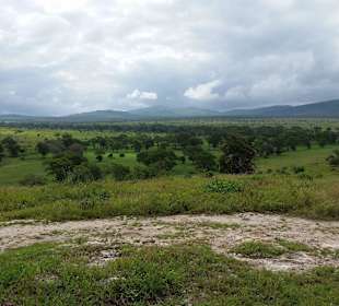 Sarova Salt Lick Game Lodge