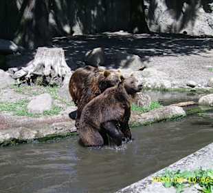 Tierpark Hagenbeck