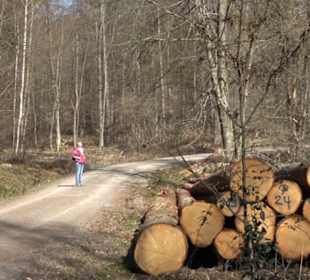 Historischer Rundwanderweg Aichtal