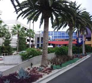 Universal Studios