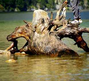 Für Fotomotive wie soll es anders sein