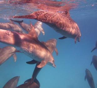 Mittendrin statt nur dabei!