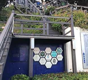 Stadtrundgang Qingdao