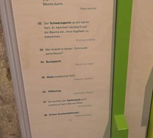 Museum Natur und Mensch