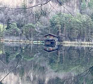 Thumsee