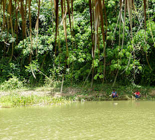 Nature Complete Tour 