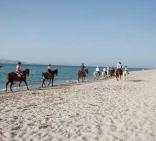 Reiten am Strand