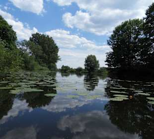 Ausflug im Spreewald