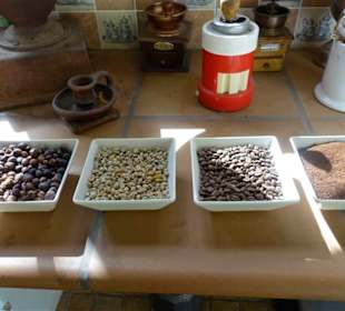 Kaffe von der Frucht, geschält,geröstet und gemahl