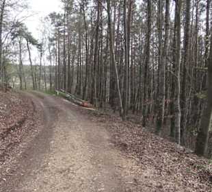 Wanderweg Hochgehswiggert