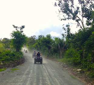 Fahrt durch den Nationalpark