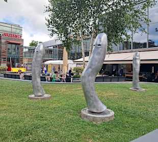 Stadtrundgang Alkmaar