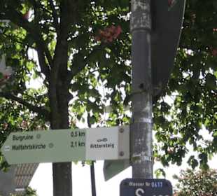 Burgruine Hohenrechberg