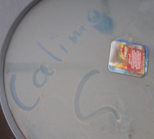 Stadtrundgang Jandia / Playa de Jandia